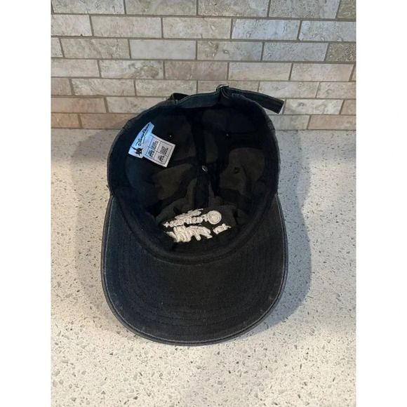 Faded gray Disney “FastPass+ to Friday please” hat. B26 - Picture 5 of 6
